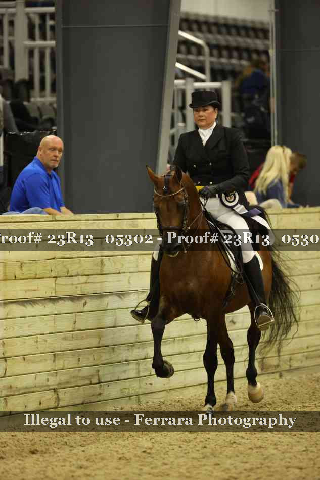 Proof 23R13_05302