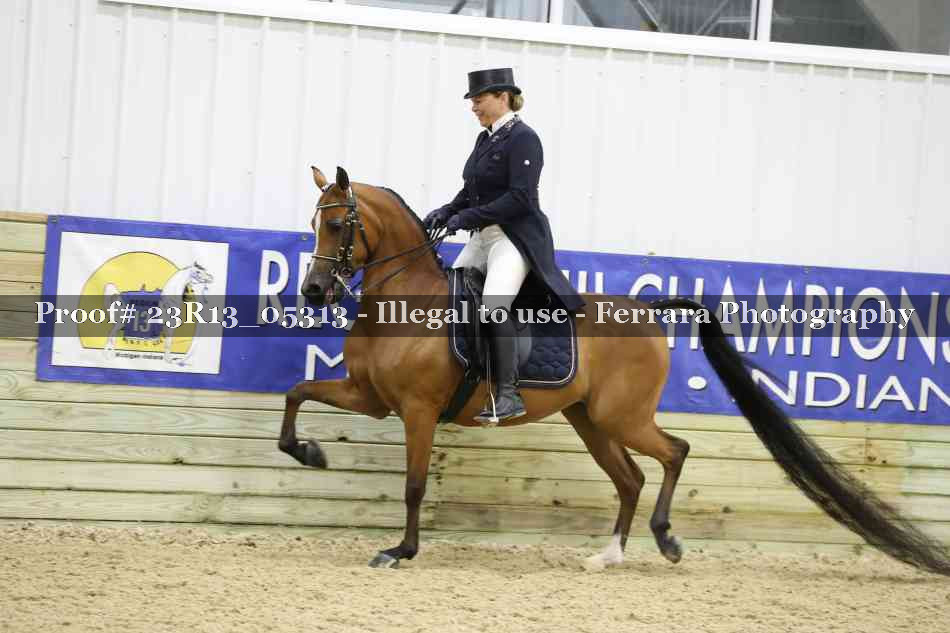 Proof 23R13_05313