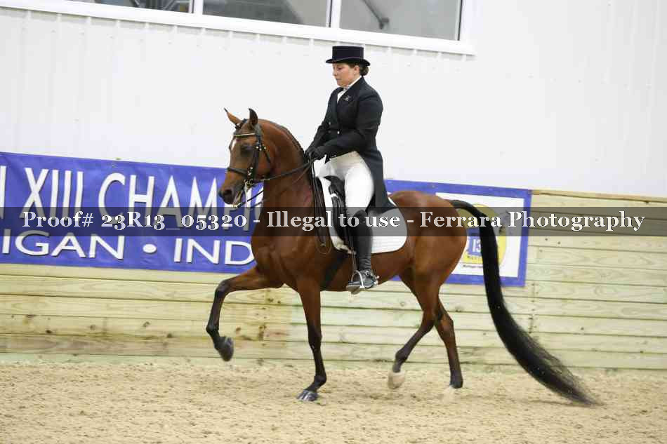 Proof 23R13_05320