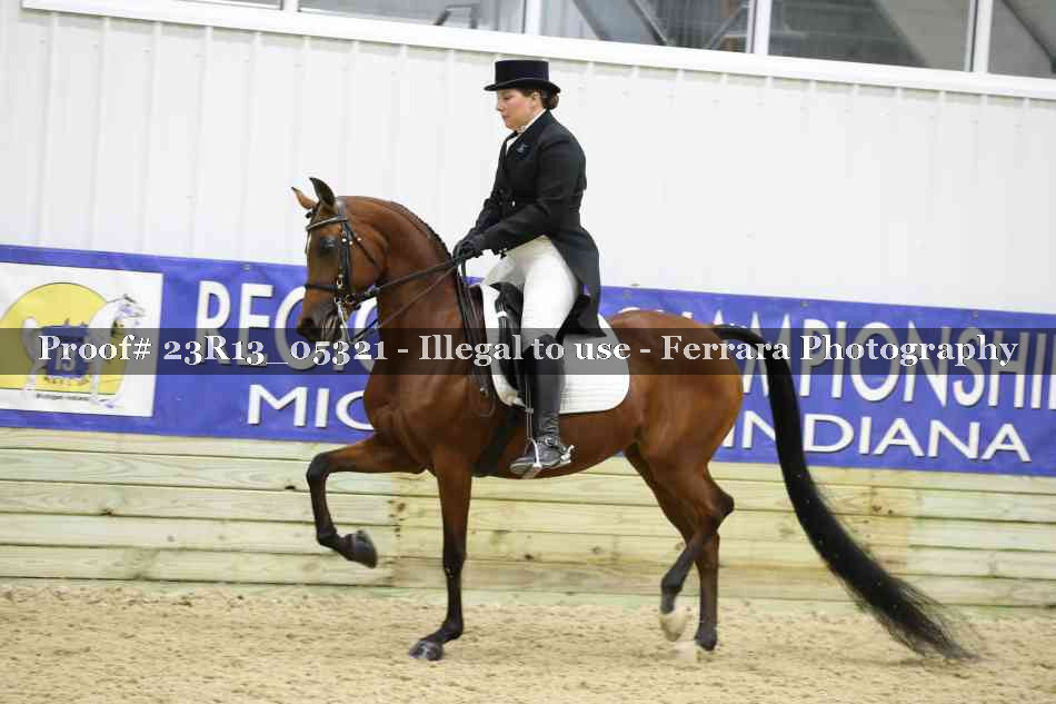 Proof 23R13_05321