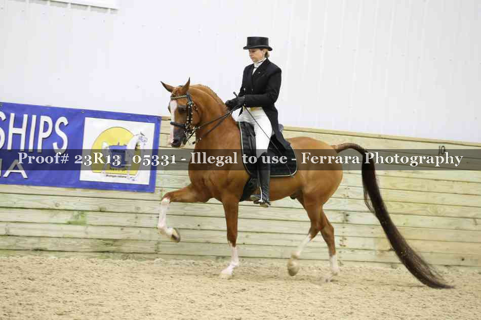 Proof 23R13_05331