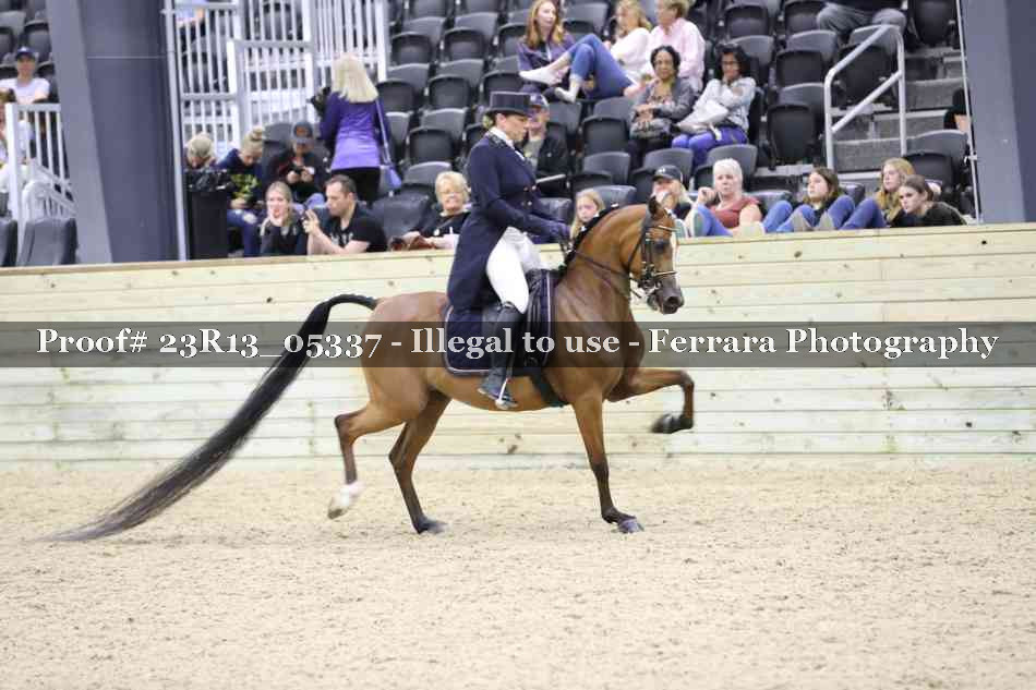 Proof 23R13_05337