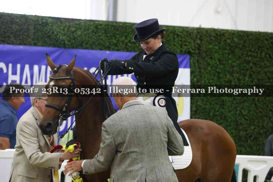Proof 23R13_05342