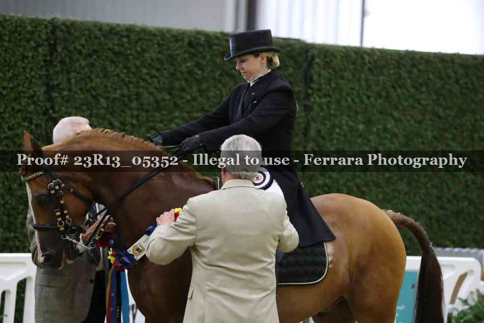 Proof 23R13_05352