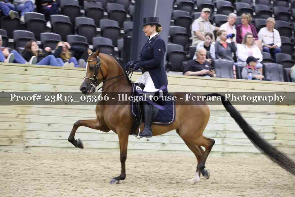 Proof 23R13_05366