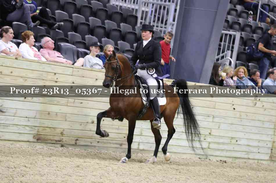 Proof 23R13_05367