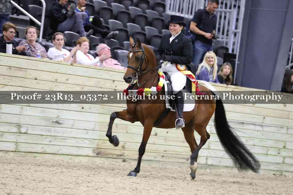 Proof 23R13_05372