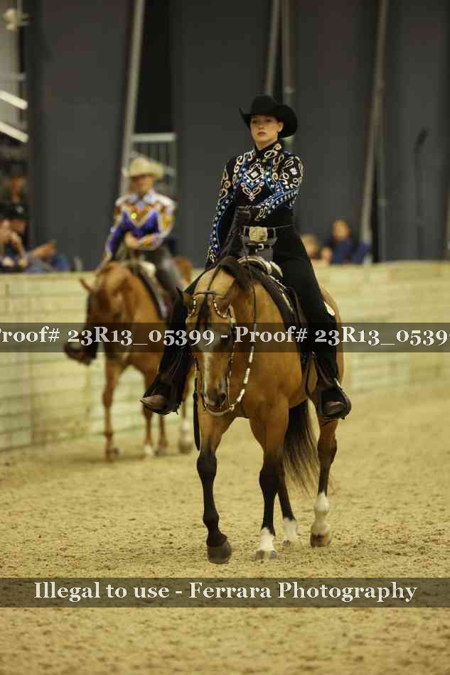 Proof 23R13_05399