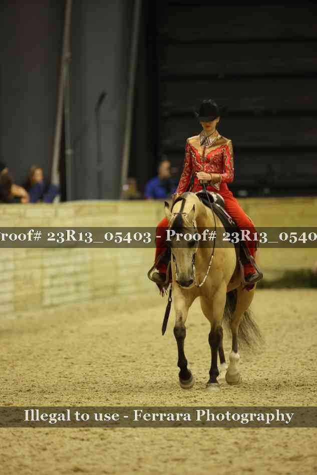 Proof 23R13_05403