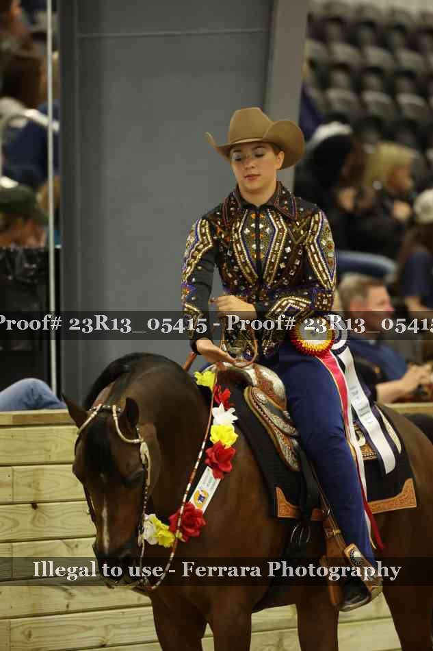 Proof 23R13_05415