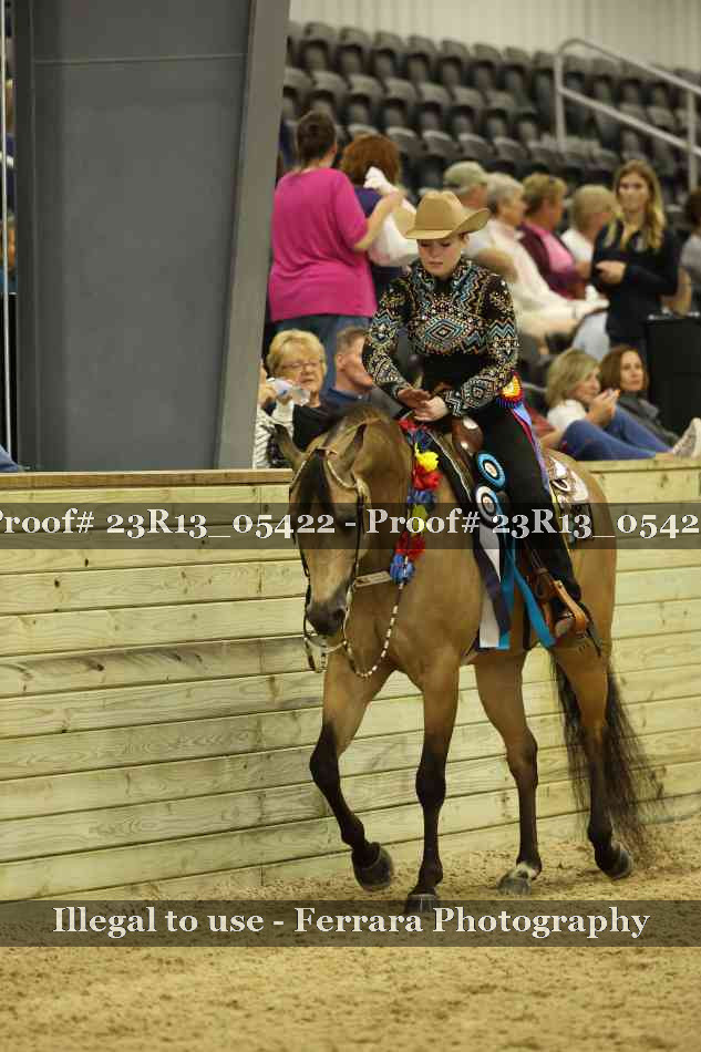 Proof 23R13_05422