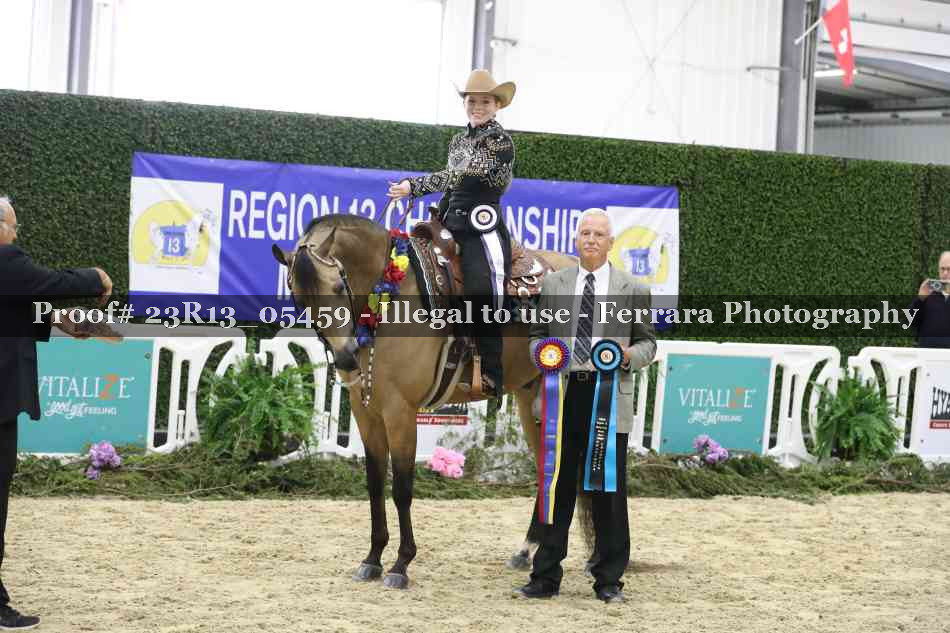 Proof 23R13_05459