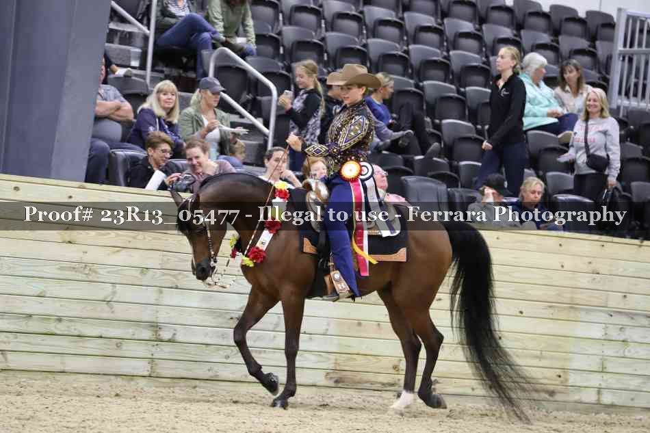 Proof 23R13_05477