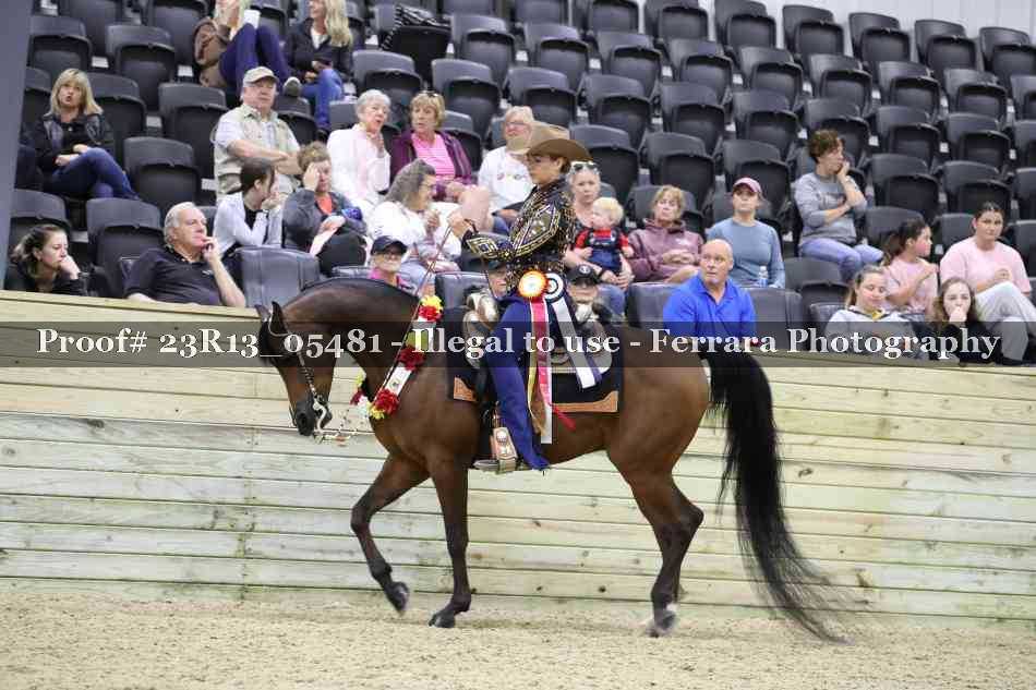 Proof 23R13_05481