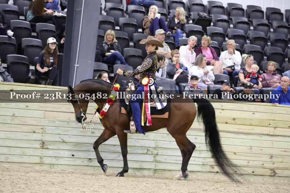 Proof 23R13_05482