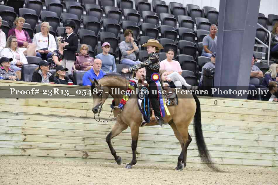 Proof 23R13_05487