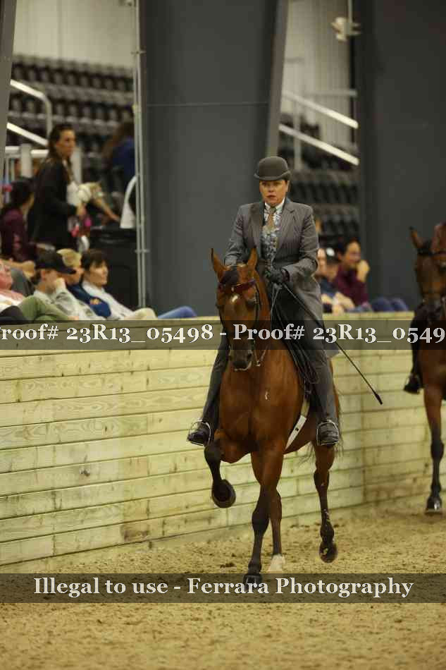 Proof 23R13_05498