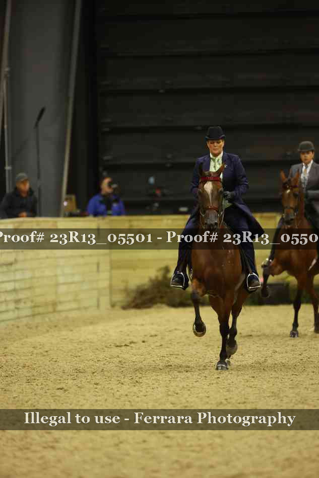 Proof 23R13_05501
