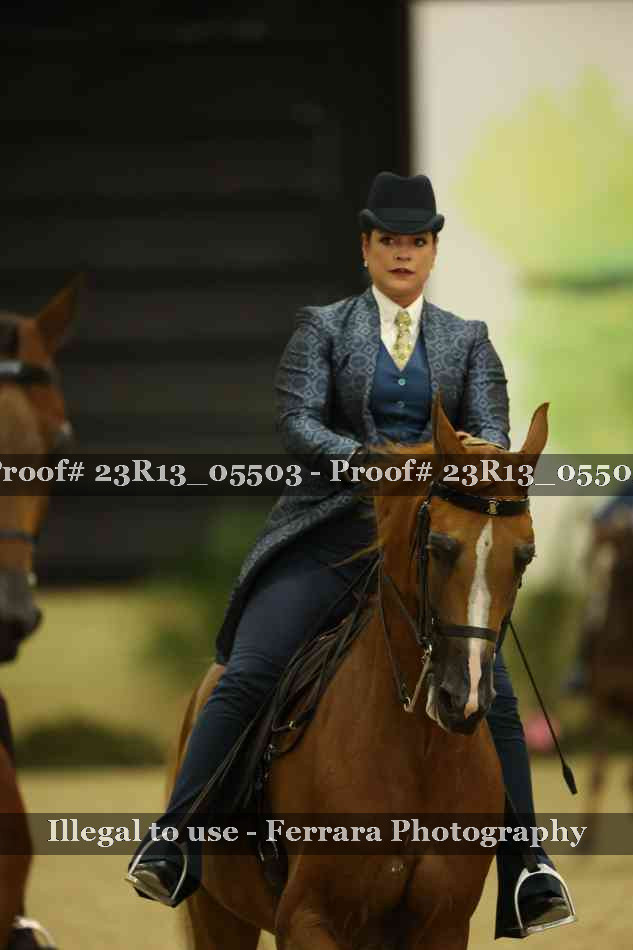 Proof 23R13_05503