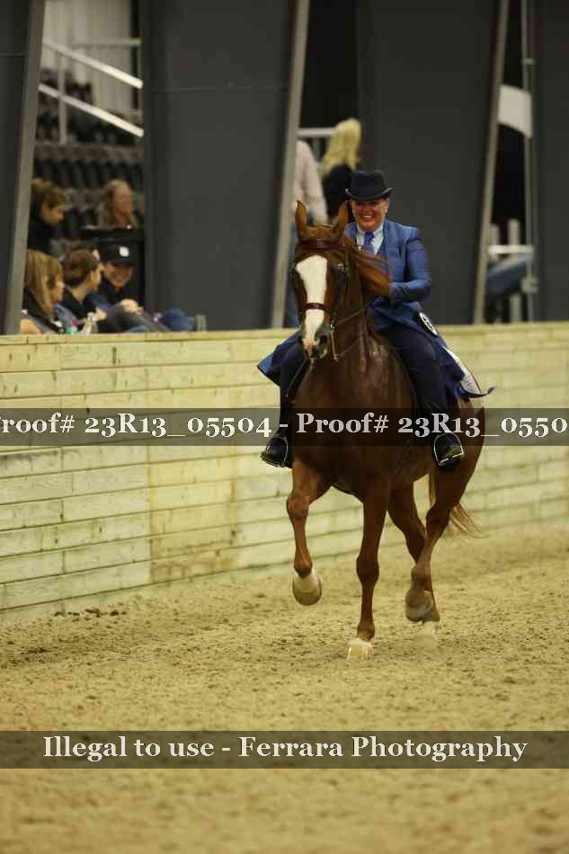 Proof 23R13_05504