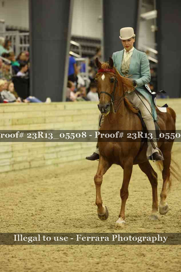 Proof 23R13_05508