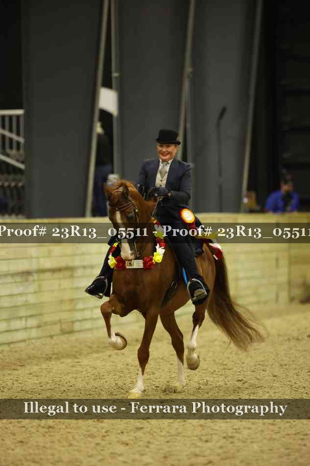 Proof 23R13_05511