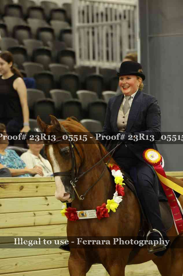 Proof 23R13_05515