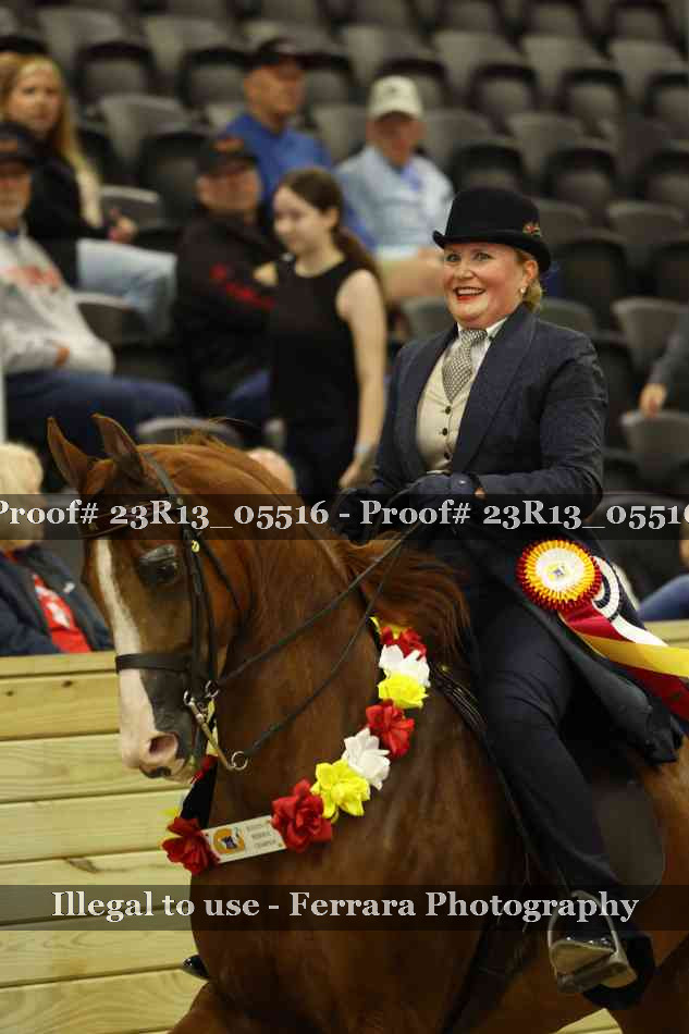 Proof 23R13_05516