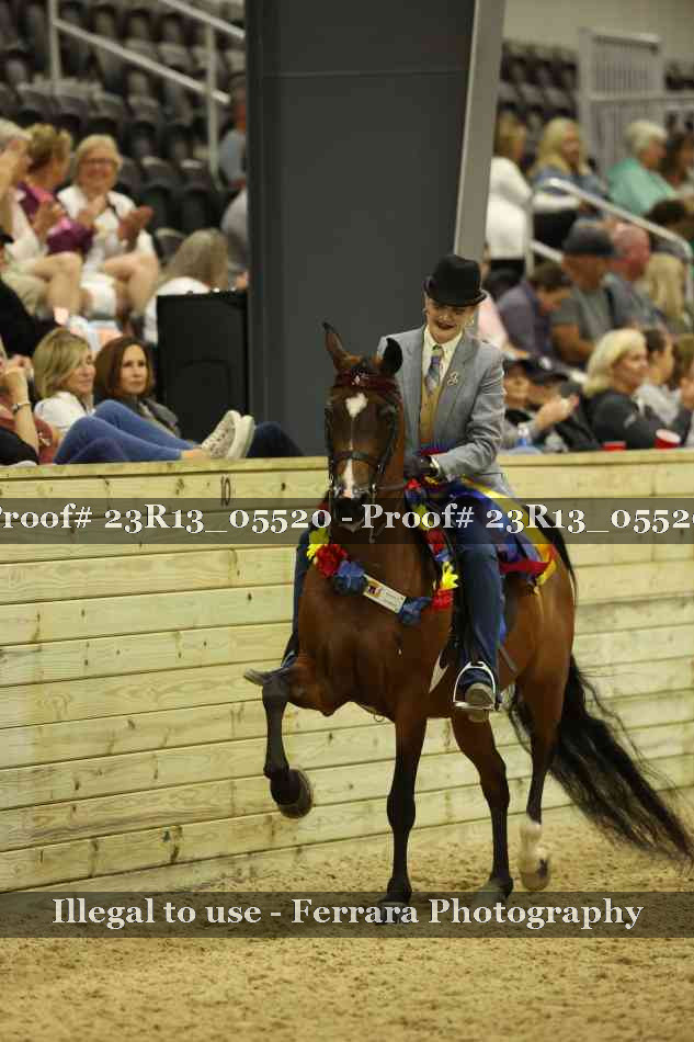 Proof 23R13_05520
