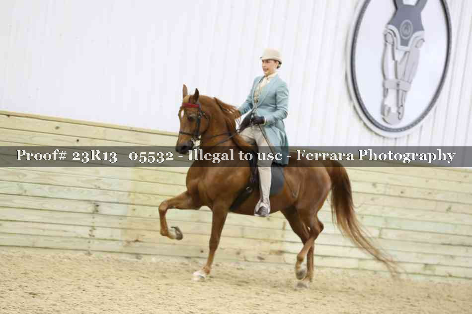 Proof 23R13_05532