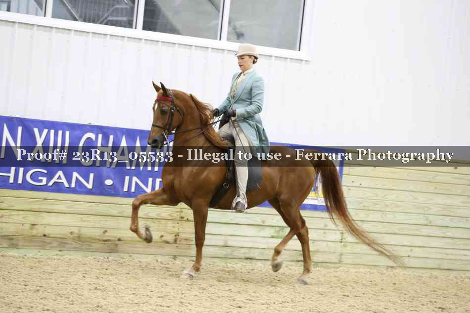 Proof 23R13_05533