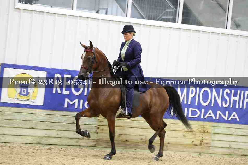 Proof 23R13_05541