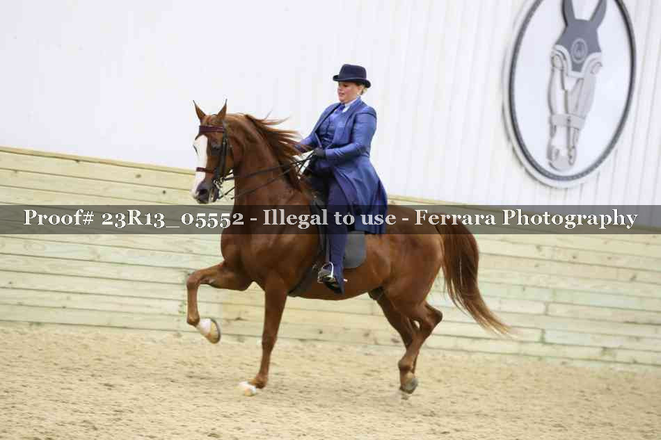 Proof 23R13_05552