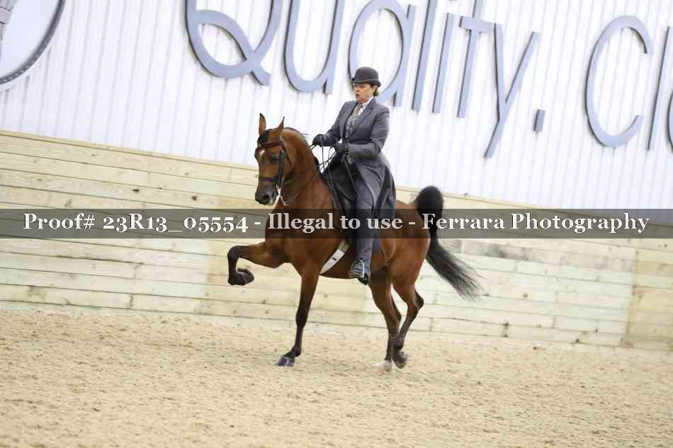 Proof 23R13_05554