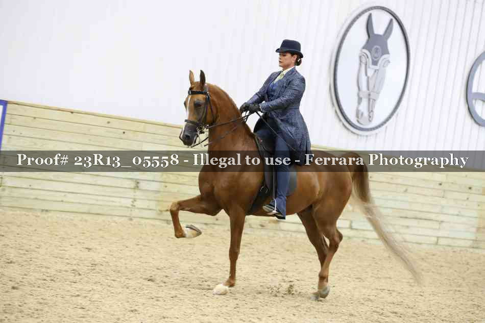 Proof 23R13_05558