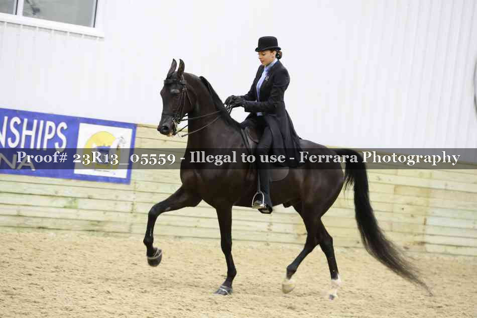 Proof 23R13_05559