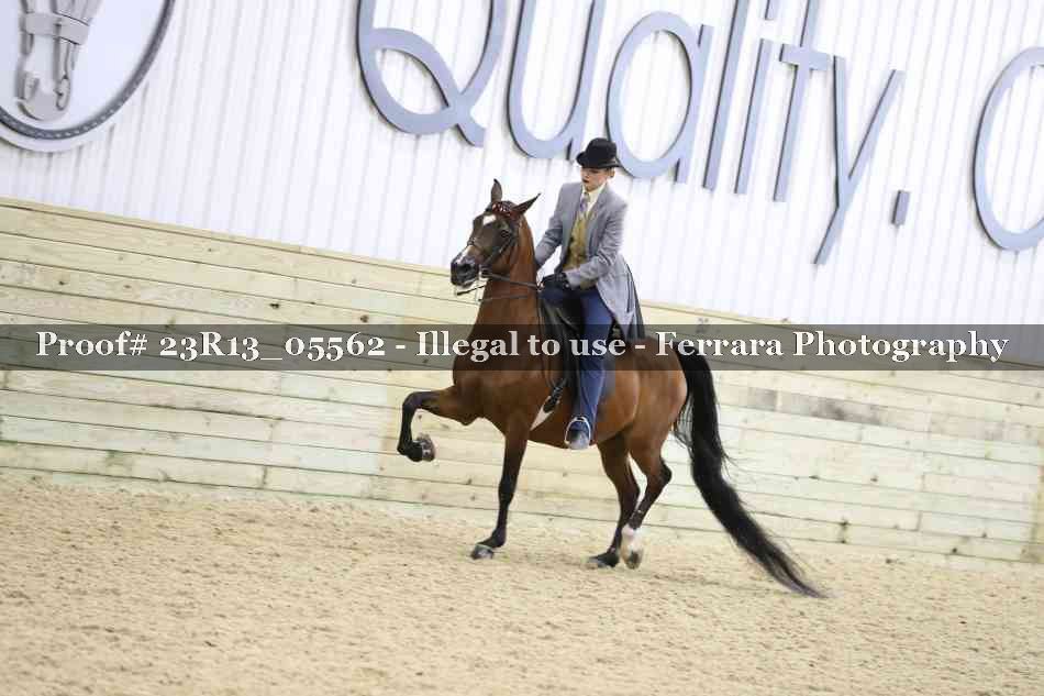 Proof 23R13_05562