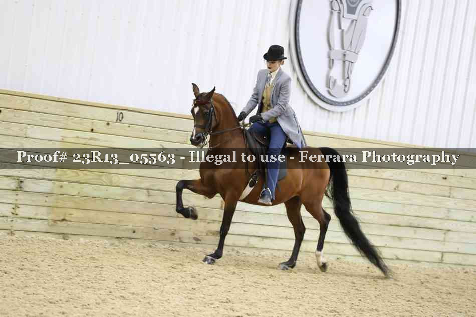 Proof 23R13_05563