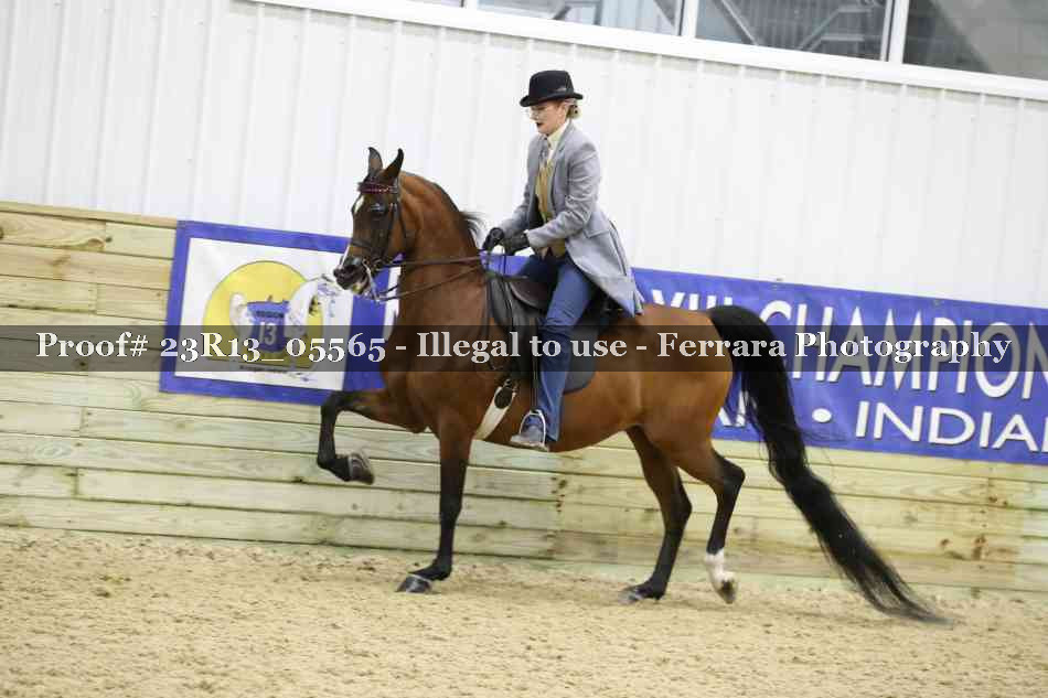 Proof 23R13_05565