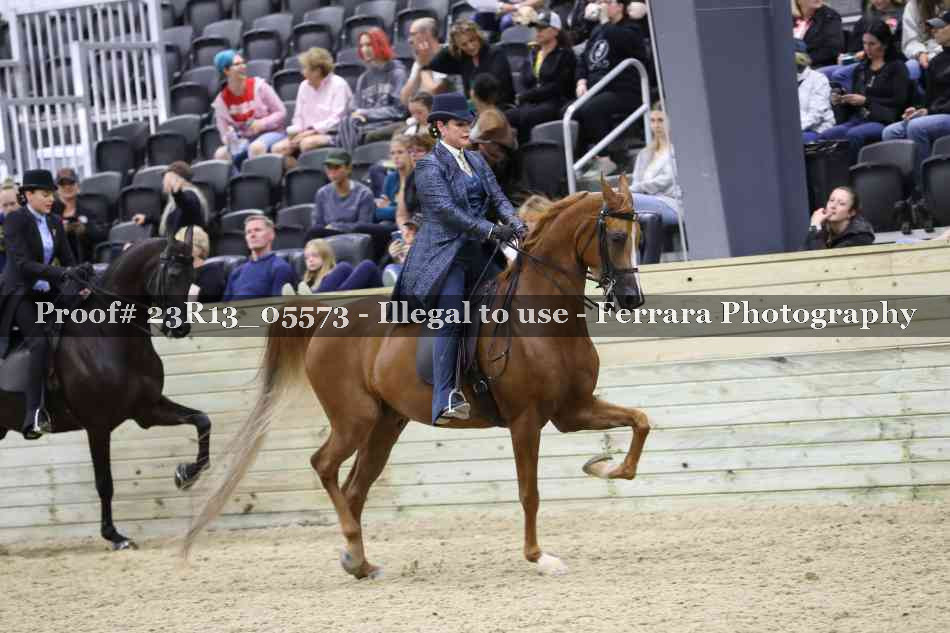 Proof 23R13_05573