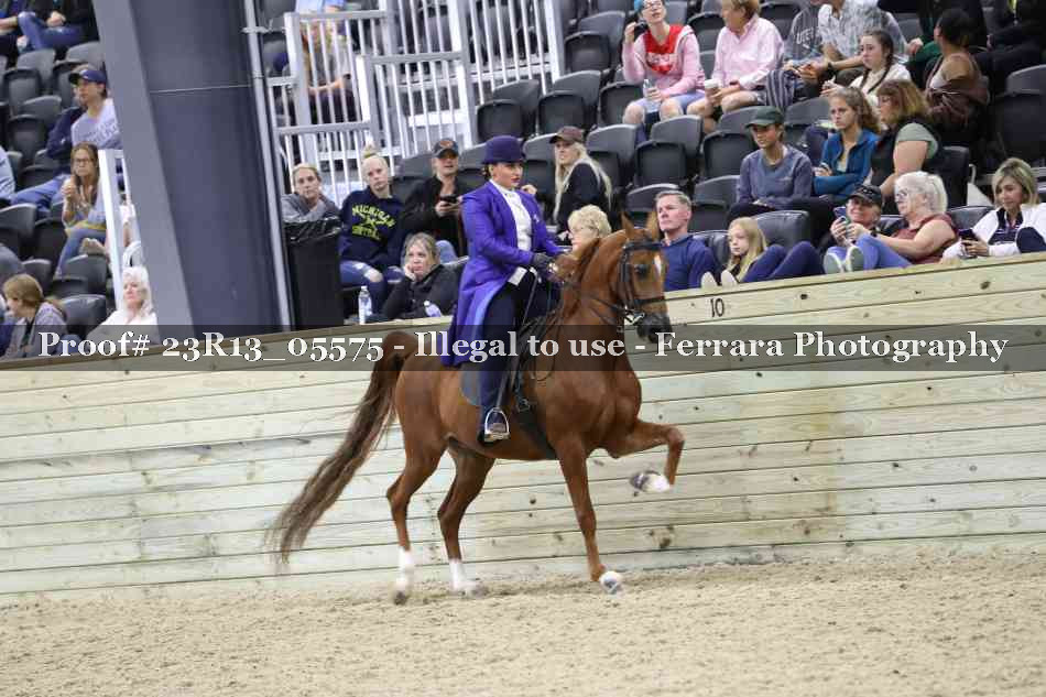 Proof 23R13_05575
