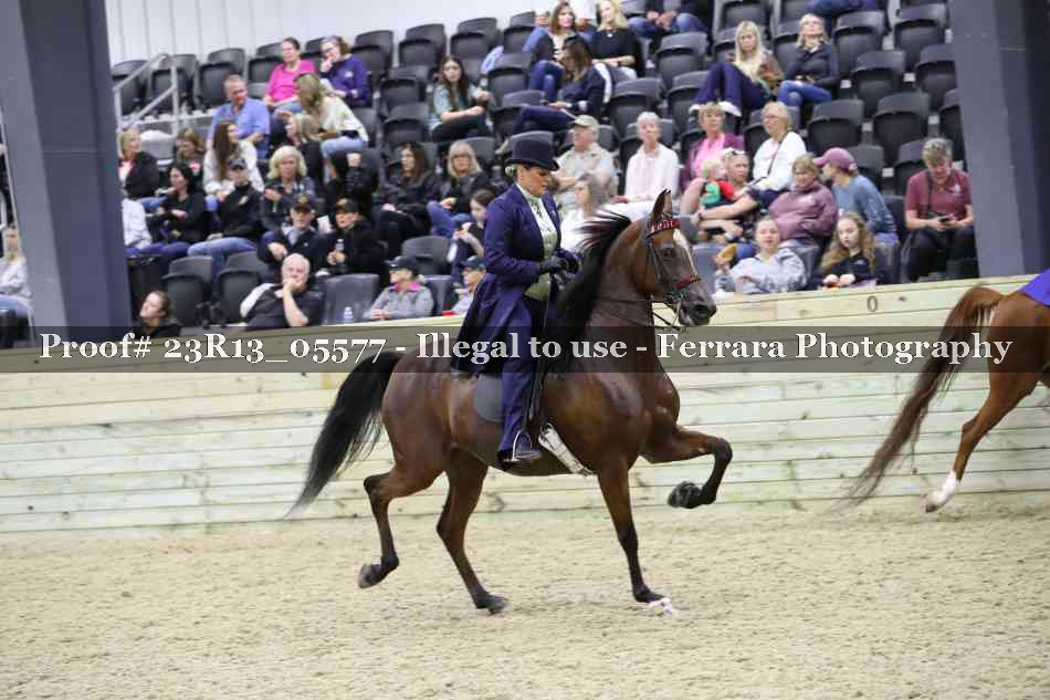 Proof 23R13_05577