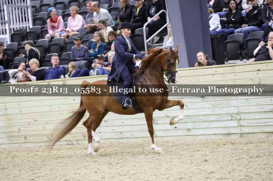 Proof 23R13_05583