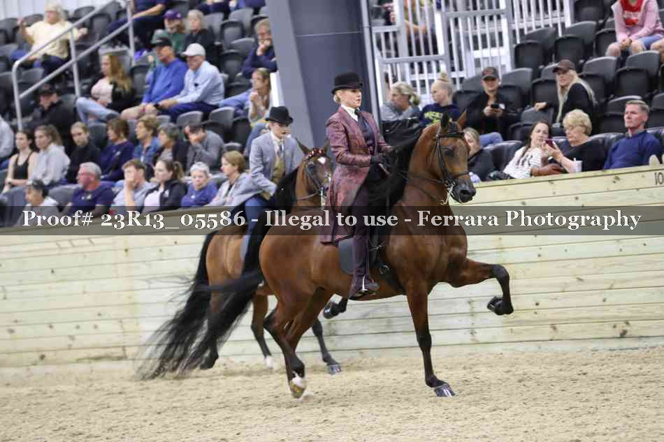 Proof 23R13_05586