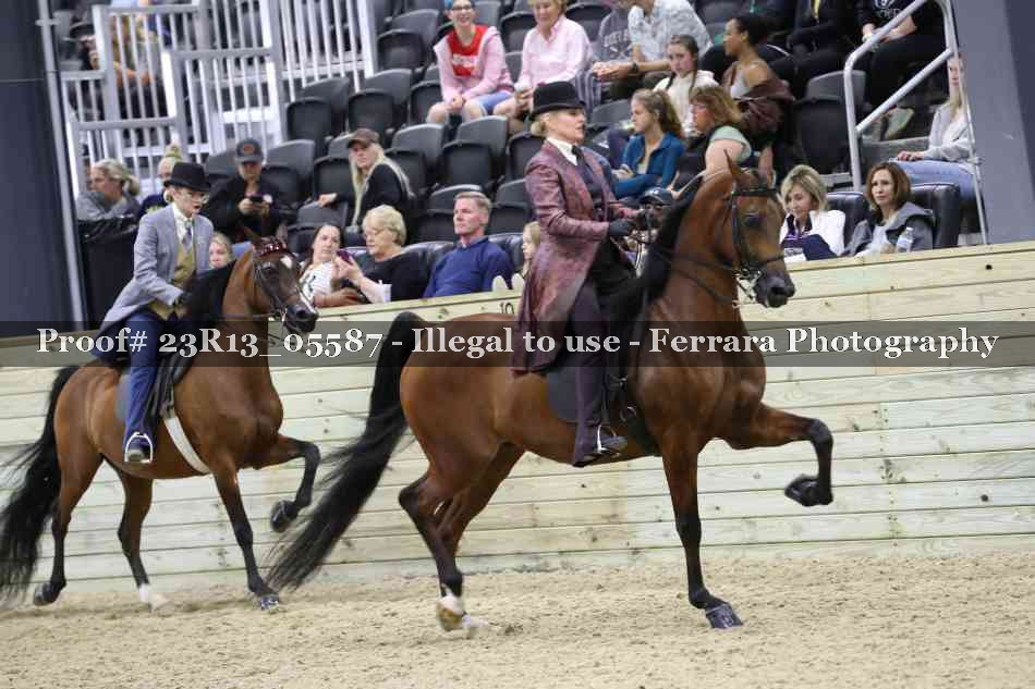 Proof 23R13_05587