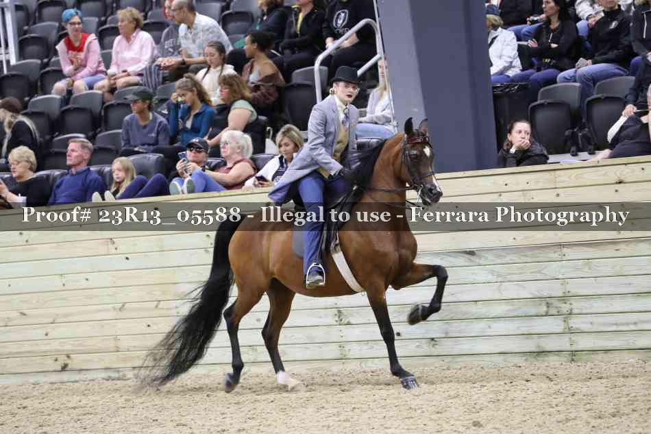 Proof 23R13_05588