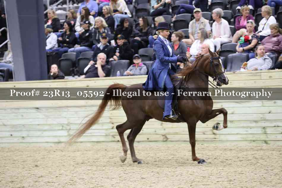 Proof 23R13_05592