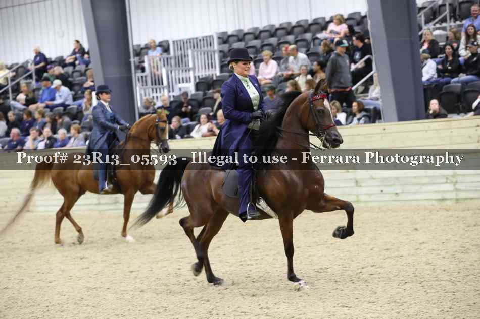 Proof 23R13_05593
