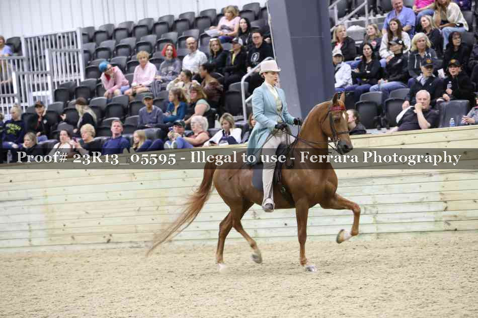 Proof 23R13_05595