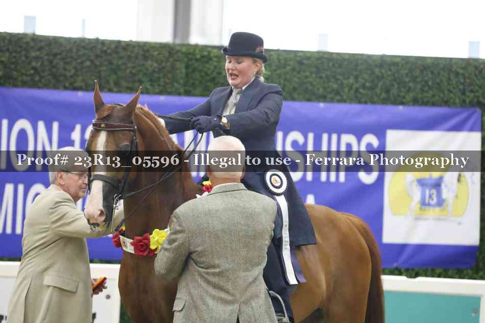 Proof 23R13_05596